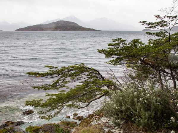 Parque Nacional Tierra del Fuego - Ensenada Zaratiegui