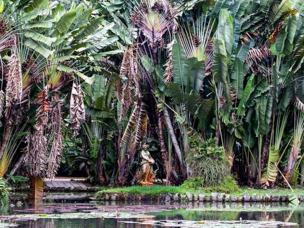 Jardìm Botanico do Rio