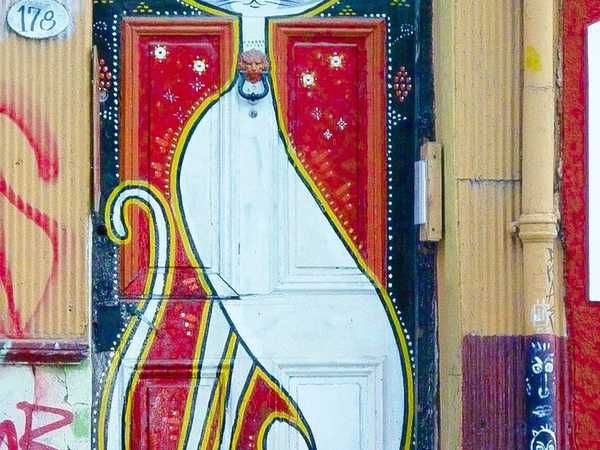 Valparaiso - la gatta sulla porta di casa