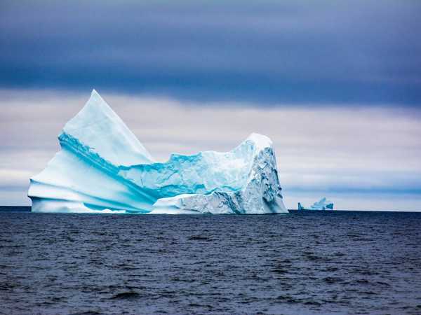 Primi incontri con gli iceberg