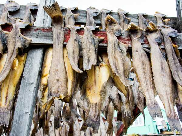 Halibut messi a essiccare all'aria: questi sono già pronti