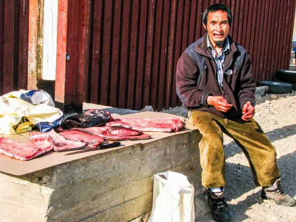 Venditore di carne di foca per le strade di Ilulissat, con le mani ancora insanguinate dopo avere appena macellato l'animale