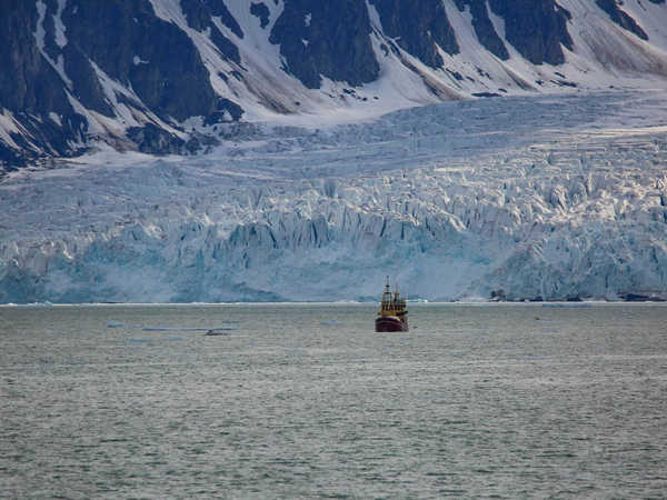 Monaco Glacier