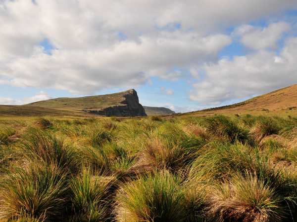 La steppa 'tussock grass' e le colline di Carcass Island