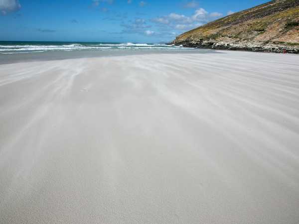 Una bianca spiaggia di Saunders Island