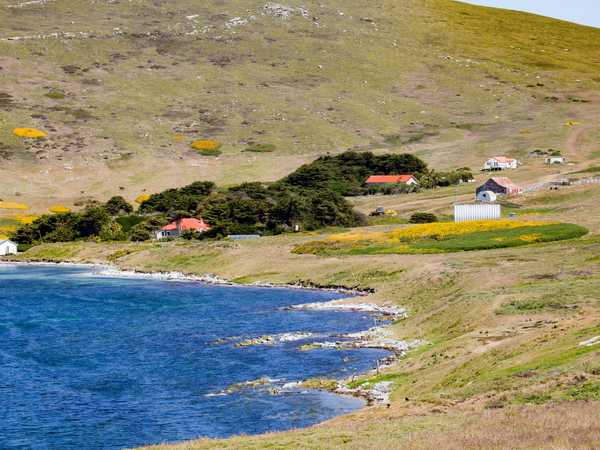 Carcass Island - la fattoria della famiglia McGill