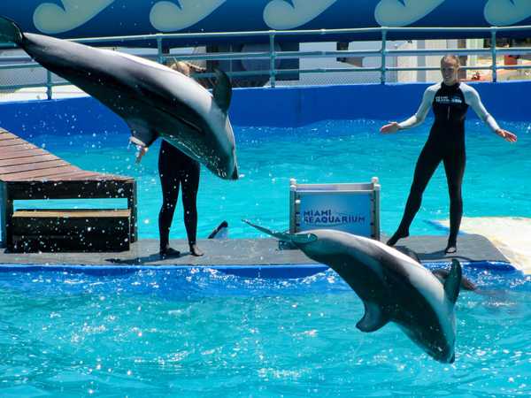 Miami Seaquarium