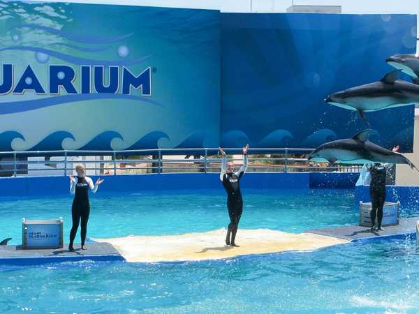 Miami Seaquarium