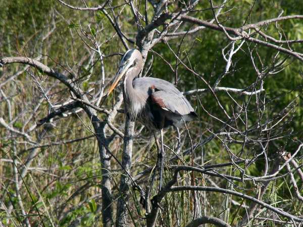 Everglades National Park
