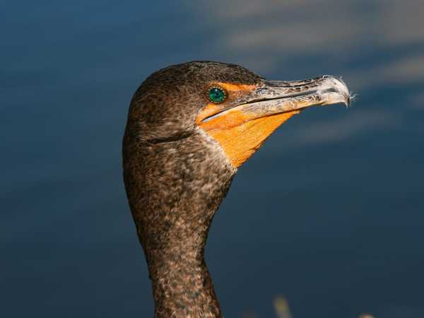 Everglades National Park