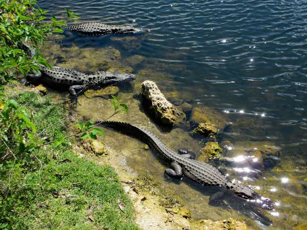 Everglades National Park