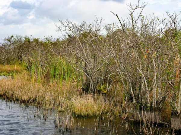 Everglades National Park