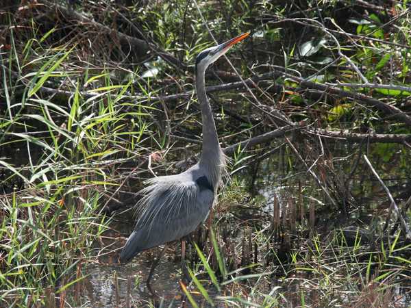 Everglades National Park
