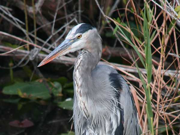 Everglades National Park