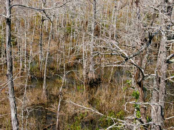 Everglades National Park