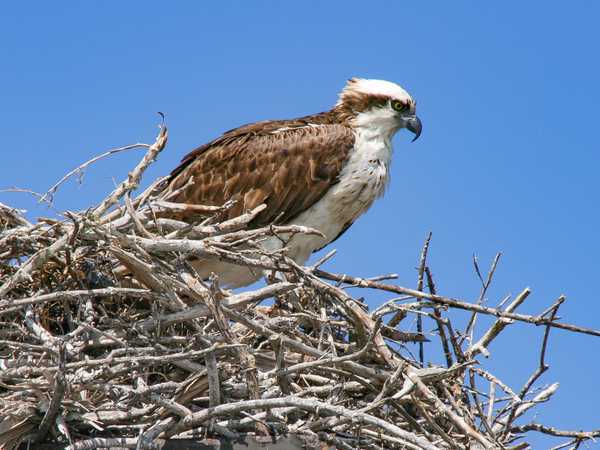 Everglades National Park