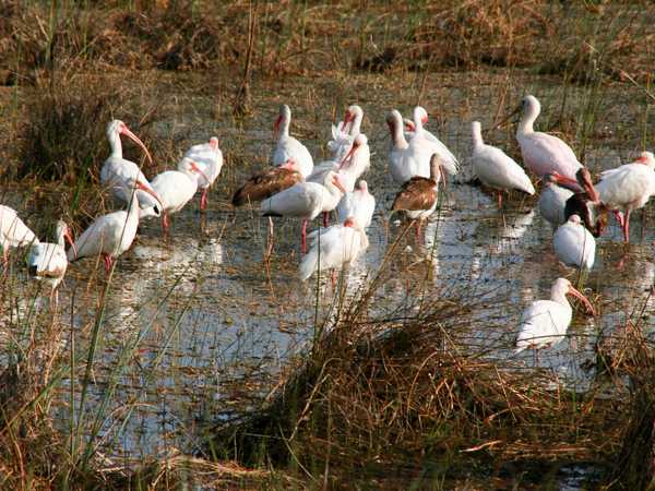 Everglades National Park