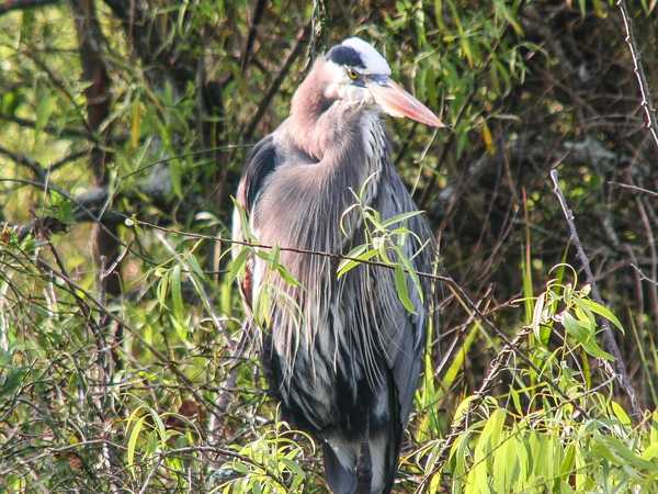 Everglades National Park