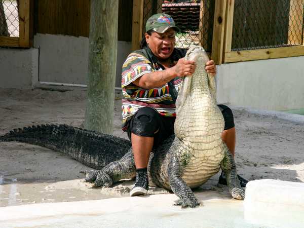 Tamiami Trail - Il grande capo Miccosukee e i suoi alligatori