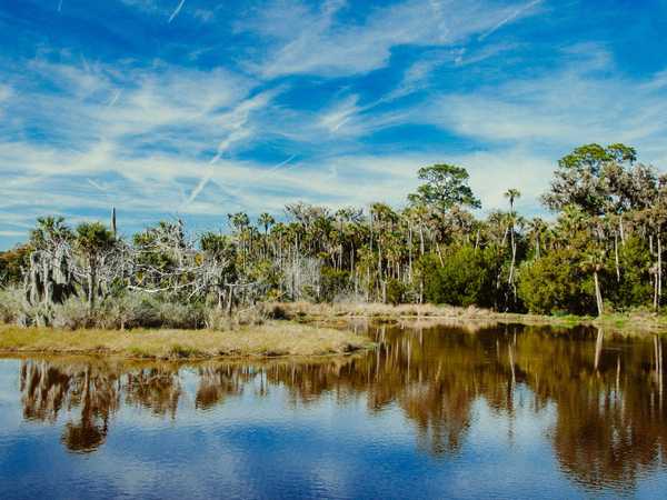 Tomoka State Park
