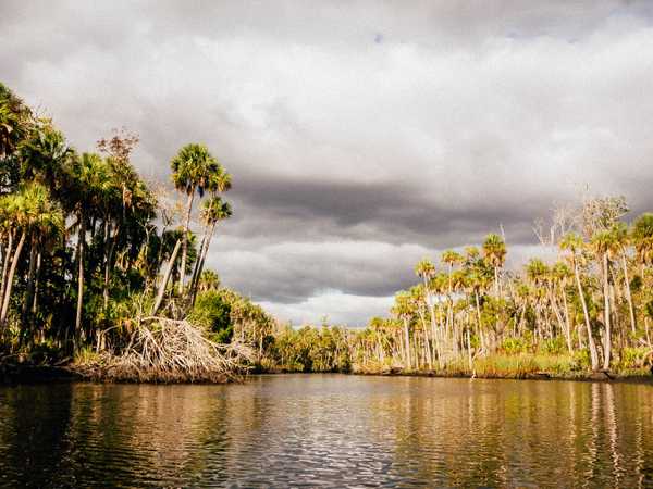 Bulow Creek