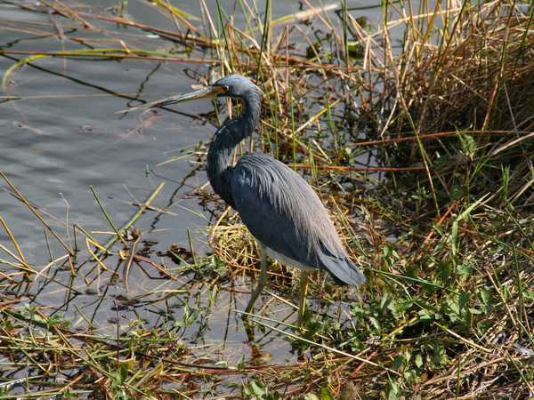 Everglades National Park