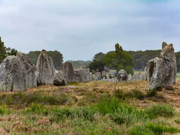 Carnac - complesso megalitico di Kermario