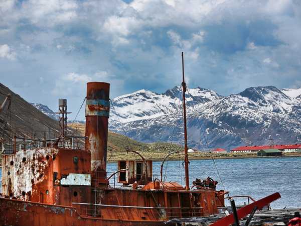 Relitto nella baia di Grytviken