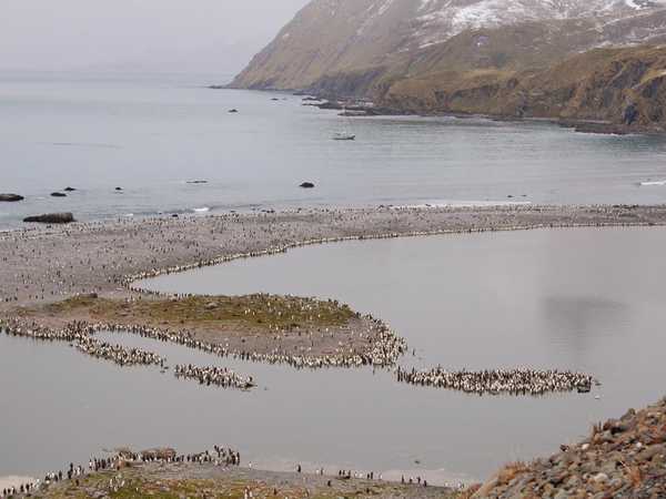 Morena di Ocean Harbour