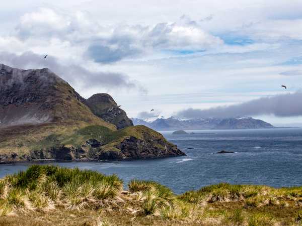 Cobbler's Cove