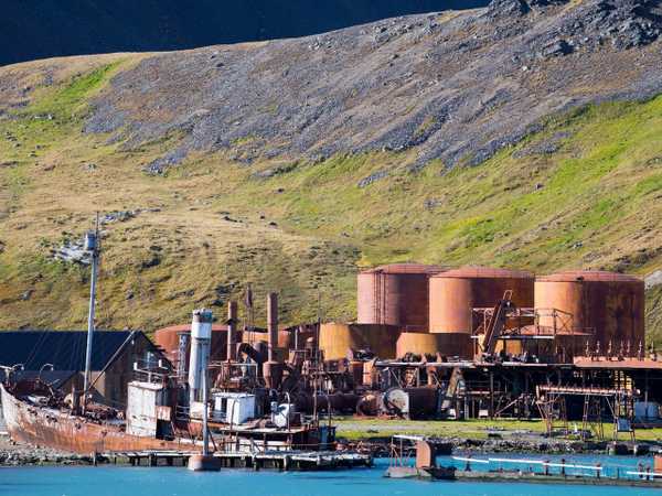 Gli impianti balenieri arrugginiti di Grytviken