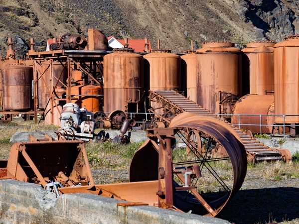 Gli impianti balenieri arrugginiti di Grytviken