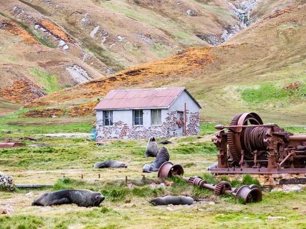 Gold Harbour - i resti della vecchia ferrovia quando qui c'era una stagione baleniera, oggi occupati dalle otarie che le usano come tana