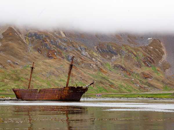 Gold Harbour - il relitto del Bayard