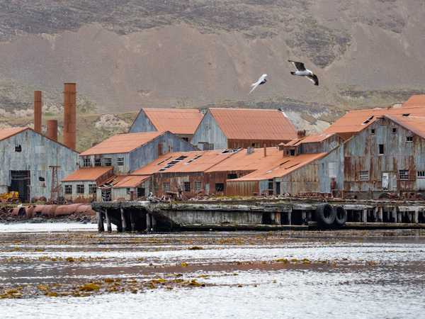 Leith Harbour - Fu la più grande delle 7 stazioni baleniere costruite in Georgia del Sud. Non è possibile sbarcare a causa degli edifici pericolanti e della presenza di amianto. Fu chiusa nel 1965.