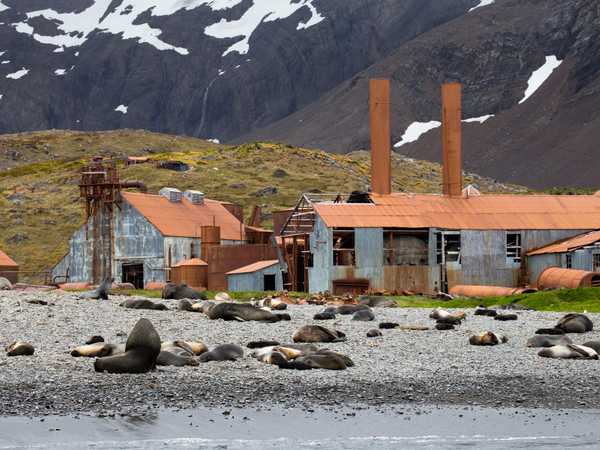 Leith Harbour - Fu la più grande delle 7 stazioni baleniere costruite in Georgia del Sud. Non è possibile sbarcare a causa degli edifici pericolanti e della presenza di amianto. Fu chiusa nel 1965.