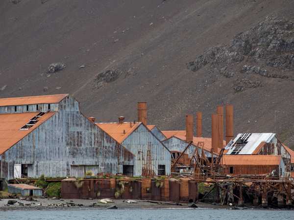 Leith Harbour - Fu la più grande delle 7 stazioni baleniere costruite in Georgia del Sud. Non è possibile sbarcare a causa degli edifici pericolanti e della presenza di amianto. Fu chiusa nel 1965.