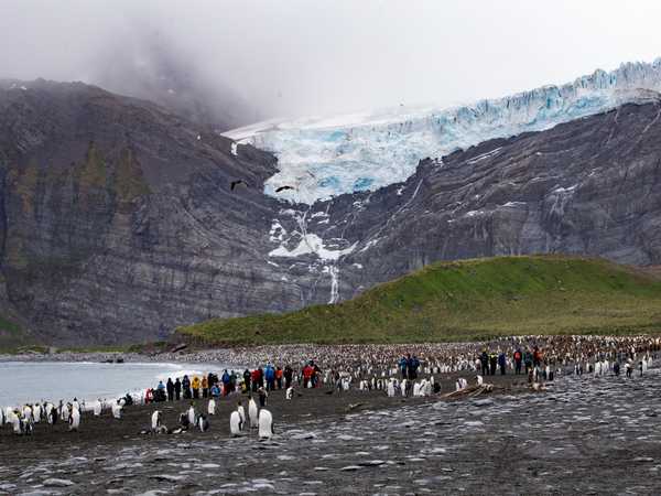 Ocean Harbour - elefanti di mare e king penguins. Ci siamo anche noi. La foto dà l'idea della vicinanza degli animali durante gli sbarchi.
