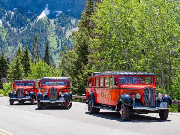 I rossi 'jammer' d'epoca che fanno servizio lungo la Going To The Sun road