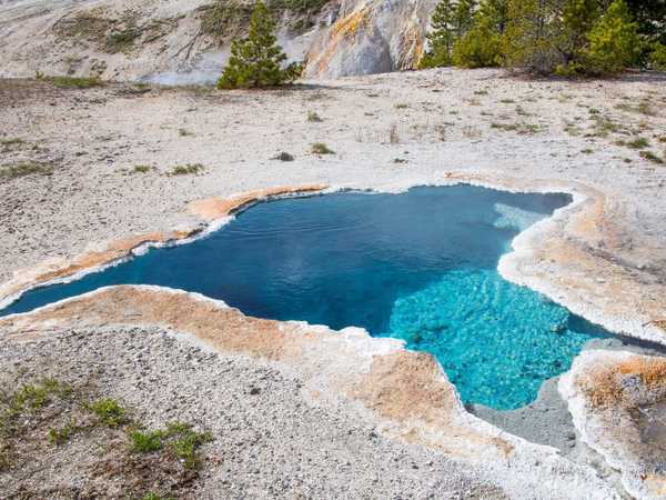 Blue Star spring - Upper Geyser Basin