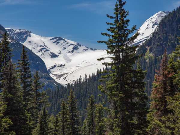 Jackson Glacier