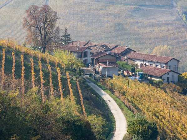 Colline delle Langhe