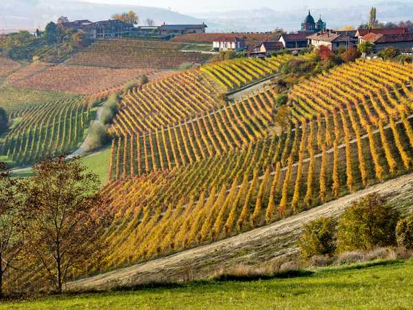 Colline di Dogliani