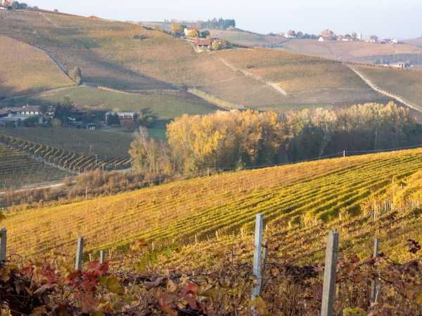 Colline di Novello