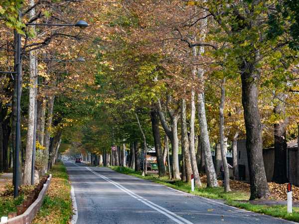 Cuneo - Viale degli Angeli
