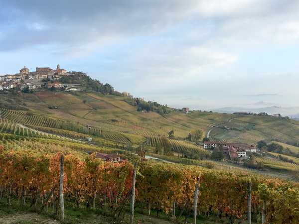 La Morra