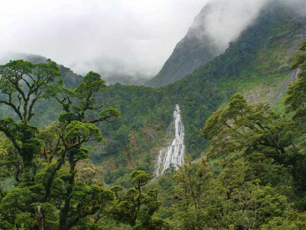 Montagne del Fjordland