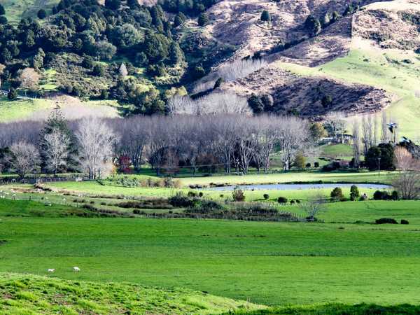 Colline del Northland