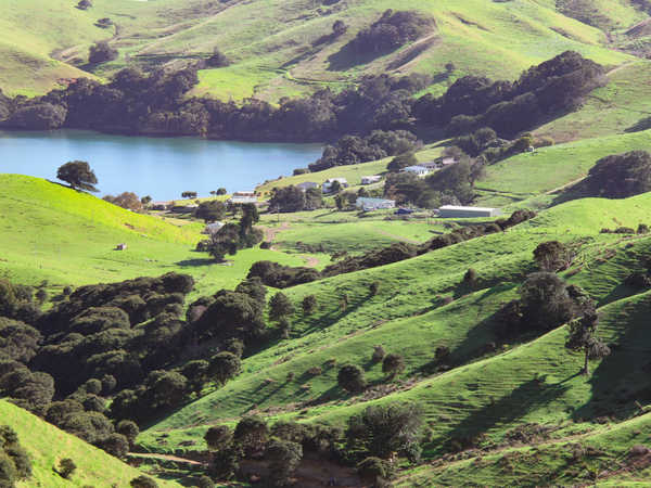 Coromandel Bay