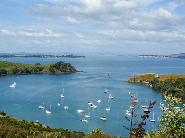 Irimahuwhero Point - Bay of Islands